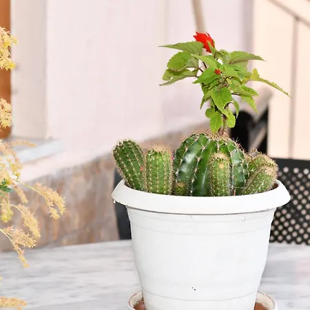 & Chill Dom wakacyjny *