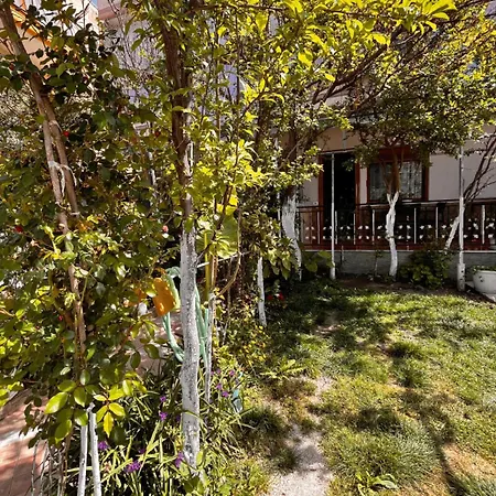 Dom wakacyjny & Chill Wlora