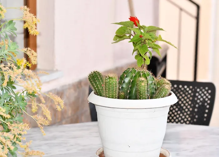 & Chill Сasa de vacaciones *